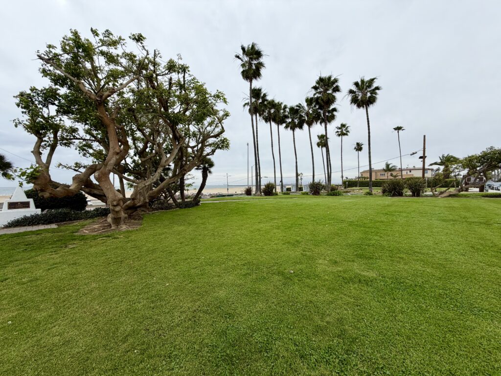 Eisenhower Park Seal Beach