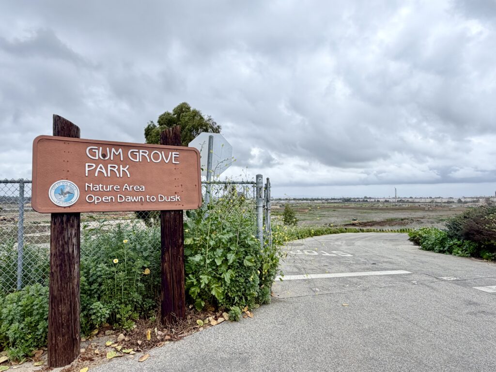The Hill Seal Beach Gum Grove